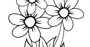 34 gambar bunga mawar versi kartun di 2020 buku mewarnai. 40 Gambar Bunga Hitam Putih Untuk Kolase Terbaik Lingkar Png