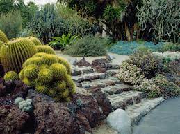 Drought tolerant landscaping seems like a misnomer, but there are many plants growing right in regular gardens that tolerate dry soil just fine. What Is Drought Tolerant Gardening