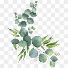 Download Watercolor Leaves Png Transparent For Free Download Pngfind