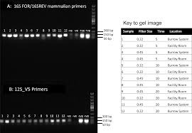 Te confiei o meu destino mesmo ele sendo irreal e os nossos planos mais bonitos hoje ficaram tão lá atrás. Ednair Proof Of Concept That Animal Dna Can Be Collected From Air Sampling Peerj