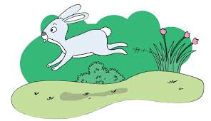 Dengan adanya teknik pengawetan dan pengemasan bahan pangan, singkong dapat diolah menjadi berbagai jenis makanan Ide Pokok Teks Organ Gerak Manusia Dan Hewan Mikirbae Com