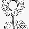 Many details are hidden in these adults floral coloring pages prepare your pens, make yourself comfortable in your garden. 1