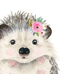 Floral Baby Hedgehog Watercolor Hedgehog Animal Art Etsy Animal Wall Art Animal Art Hedgehog Art