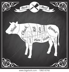 The cuts of meat that a person gets from a half of cow can vary depending on what they want. Beef Cuts Butcher S Vector Photo Free Trial Bigstock