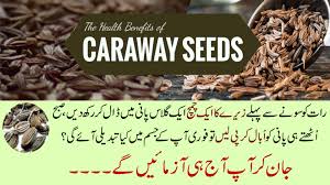 Health Benefits Of Cumin Seeds In Urdu Zeera Ke Fawaid Ø²ÛŒØ±Û Ù…Ø¹Ø¯Û Ø¬Ú¯Ø±Ø§ÙˆØ± Ú¯Ø±Ø¯Û Ù…ÛŒÚº Ù…ÙÛŒØ¯ Video Dailymotion