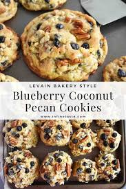 Blueberry Coconut Pecan Cookies In Fine Taste Recipe Coconut Cookies Recipes Easy Blueberry Cookies Raisin Cookie Recipe