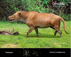 Image result for Pouchetia