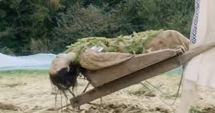 The midsommar director's cut adds 24 minutes of new footage shot by ari aster which reveals what happened to connie. Ellora Torchia Cinemorgue Wiki Fandom