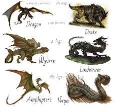 Dragon Classifications Art A Theme Dragon Dessin De Dragon Croquis De Dragon
