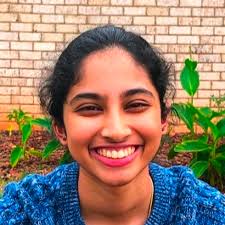 Liang Lab Summer Research Program