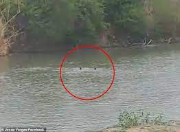 Witness Says Two Migrants Drowned In The Rio Grande While Cbp Agents Watched Daily Mail Online