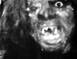 The She Beast [and] Terror Creatures from the Grave