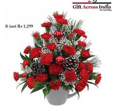 Maybe you would like to learn more about one of these? Carnations Flowers Online Send Carnations Bouquet Online To India Christmas Flowers Christmas Flower Arrangements Christmas On A Budget
