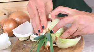In that case, you can soak the sprouts in water to encourage root growth. How To Plant Sprouted Onions 14 Steps With Pictures Wikihow