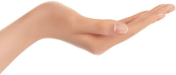 Download Png Image Hands Png Hand Image Free Hand Images Image Hands
