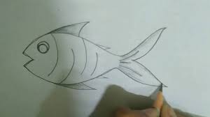 Fashion design drawings fashion sketches drawing fashion fashion art editorial fashion lingerie illustration fashion sketchbook designer lingerie lingerie collection. Simple Pencil Drawings For Kids Simple Fish Drawing Youtube