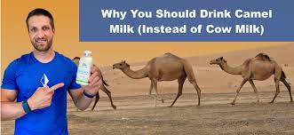 Influence of goat and cow milk on the digestive and metabolic utilization of calcium and iron, researchgate. Is Camel Milk Really Healthier Than Cow Milk