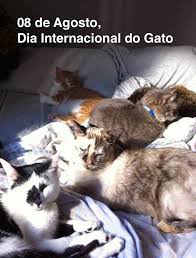 Resultado de imagem para 08 DE AGOSTO É DIA DE