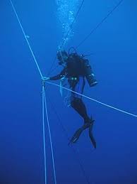 Based on the true story of two scuba divers accidentally stranded in shark infested. Open Water Diving Wikipedia