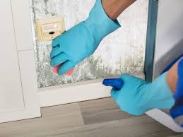 If you're heading to your cleaning cupboard to find the right products to clean painted walls with, step away from anything containing alcohol or harsh. This Is How To Clean Wall Paint Back To Beautiful In 3 Different Ways