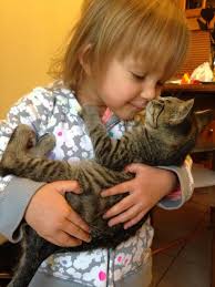 My Daughter Turned 3 Today Here She Is With Her Kitten Celery Cute Animals Cat Hug Cat Kids