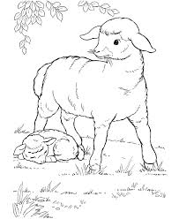 Their interesting appearance and friendly nature endear them to kids who love to spend time with these animals and coloring pages featuring them. Free Printable Sheep Coloring Pages For Kids
