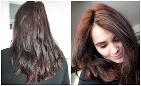 Esalon is a hair color company based in el segundo, california. Custom Hair Colour With Esalon Good Golly Miss Hollie