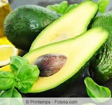 Avocado Avocadobaum Zuchten Pflanzen Und Pflege Avocado Zuchten Avocado Pflanze Und Avocado Baum