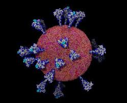 2019 novel coronavirus, wuhan seafood market pneumonia virus) — оболочечный одноцепочный. The Coronavirus Unveiled Microscopic Images Of Sars Cov 2 The New York Times