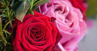 Flower Perfection Love Roses Flowers Floral Gift London Uk Fresh Floralarrangements Instagood Instadaily Photooftheday Florist Birthday Ev Fleurs