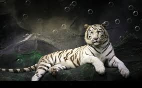 Download and share awesome cool background hd mobile phone wallpapers. Tiger Live Wallpaper Android Apps On Google Play