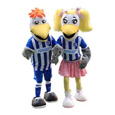 Redeem this code and get 10 b$. Brighton Hove Albion Football Club Color Codes Color Codes In Hex Rgb Cmyk Pantone