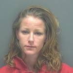 DWI Arrests by State