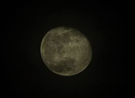 Venus poate deschide un drum nou în viaţa ta intimă, o nouă prietenie al cărei. DacÄƒ N Ar Fi Nu S Ar IndrÄƒgosti Sau Compunere Despre LunÄƒ Show Me The Funny Comedii Comunale MitoÈ™ MicleuÈ™anu Radio Guerrilla