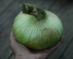 A federal marketing order that protects the Walla Walla onion