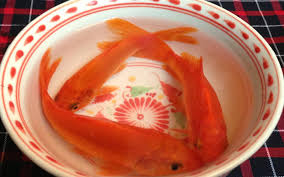 Đọc báo tin tức online việt nam & thế giới nóng nhất trong ngày về thể thao, thời sự, pháp luật, kinh doanh 5 Ä'iá»u Tá»'i Ká»µ Khi Cung Ong Cong Ong Tao Nha Nao CÅ©ng Nen Biáº¿t Ä'á»ƒ Tranh Máº¯c Sai Láº§m Vtv Vn