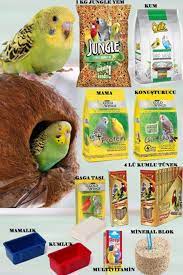 enzoo jungle muhabbet kusu yem vitamin seti fiyati yorumlari trendyol