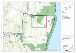 Image result for Pycreus atribulbus