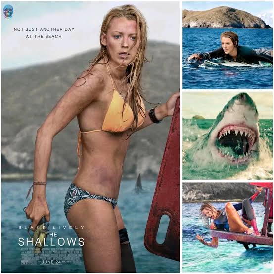🎦😱 The Shallows (2016) The Shallows (2016) is a gripping survival  thriller that blends breathtaking visuals with edge-of-your-seat suspense,  set against the vast and unforgiving ocean. Directed by Jaume Collet-Serra,  the film