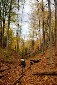 Baltimore Woods Camillus Ny Beautiful Places Favorite Places Hometown