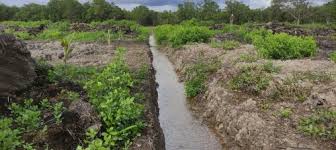 2,756 likes · 9 talking about this. Jual Tanah Murah Sewa Tanah Kosong Jualsewatanah Com