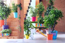 Beberapa diantara kita pasti tidak menyadari keberadaan tanaman ini. 26 Tips Membuat Taman Anda Menjadi Berwarna Dan Menyegarkan Homify