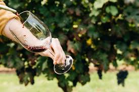 16 city of abbotsford reviews. Top 5 Abbotsford Wineries Swoop