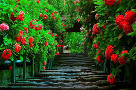 Download Free 3d Nature Wallpaper For Your Pc Hd Nature Wallpapers Spring Desktop Wallpaper Nature Wallpaper