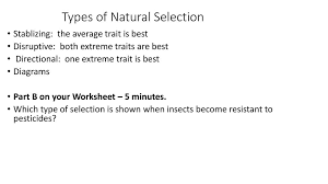 Analyzing natural selection natural selection worksheet 167212 natural selection via hot dogs random pinterest natural selection worksheet by klebold on natural selection pinterest natural selection worksheet 219292 naturalselection natural selection forces of evolution 1. Camouflage Morphology Behavior Biochemical Ppt Download