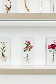 Check spelling or type a new query. Azuma Makoto S New Freeze Dried Flower Series Launches At Opening Ceremony Vogue