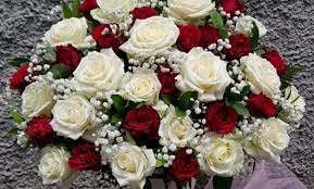 Toko bunga surabaya noor florist sebagai jasa pelayanan karangan bunga di surabaya siap melayani anda yang lagi ada rencana mencari bunga ucapan di surabaya free ongkos kirim. 10 Toko Bunga Di Surabaya Barat 2021 Florist Plastik Online