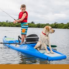 Maybe you would like to learn more about one of these? Perception Hi Life Kayak Industrial Designers Society Of America Idsa