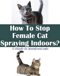 Neem oil is a natural pesticide, it repels and kills ticks. 13 Exquisite Cat Spray Stop Toxoplasmosis Admirable