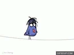 Bird Gif Find On Gifer